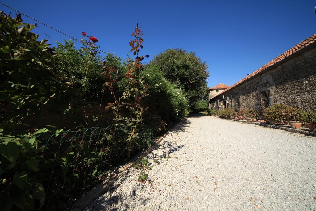 Villa Azienda Agrituristica Seliano Paestum Exterior foto